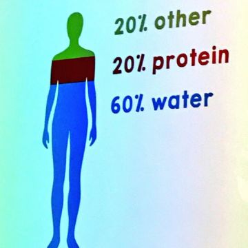 Human Genome Campus 2018 trip